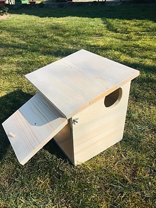 Drewniany domek dla wiewiórki – naturalne schronienie, budka, karmnik